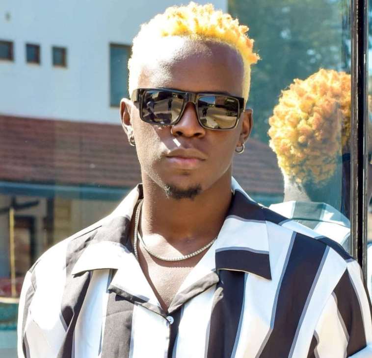 Image of Willy Paul